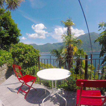 Apartment The Palm With Garden Sala Comacina Esterno foto