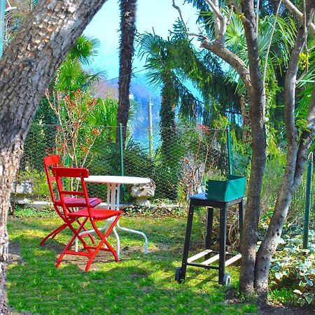 Apartment The Palm With Garden Sala Comacina Esterno foto